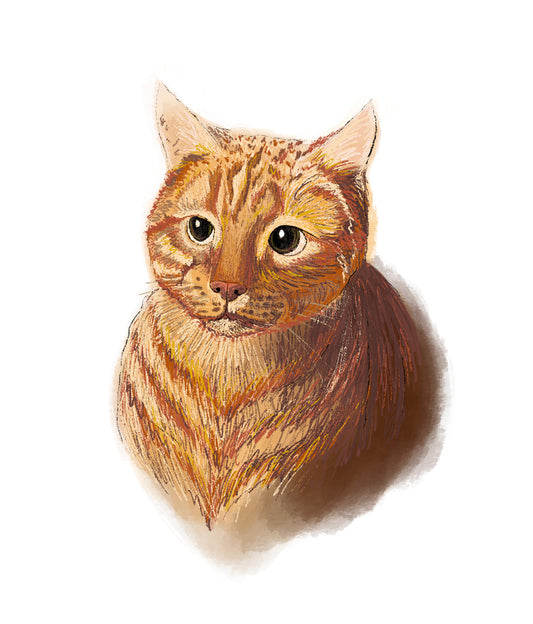 Custom Full-Color Pet Portrait