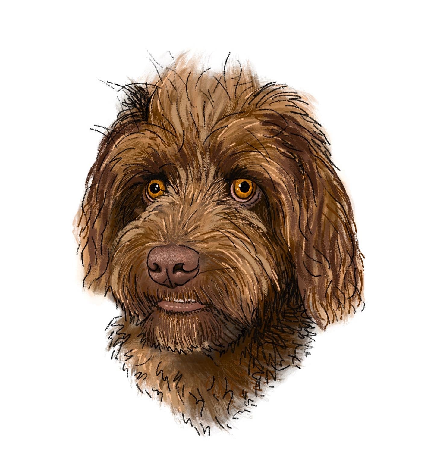 Custom Full-Color Pet Portrait