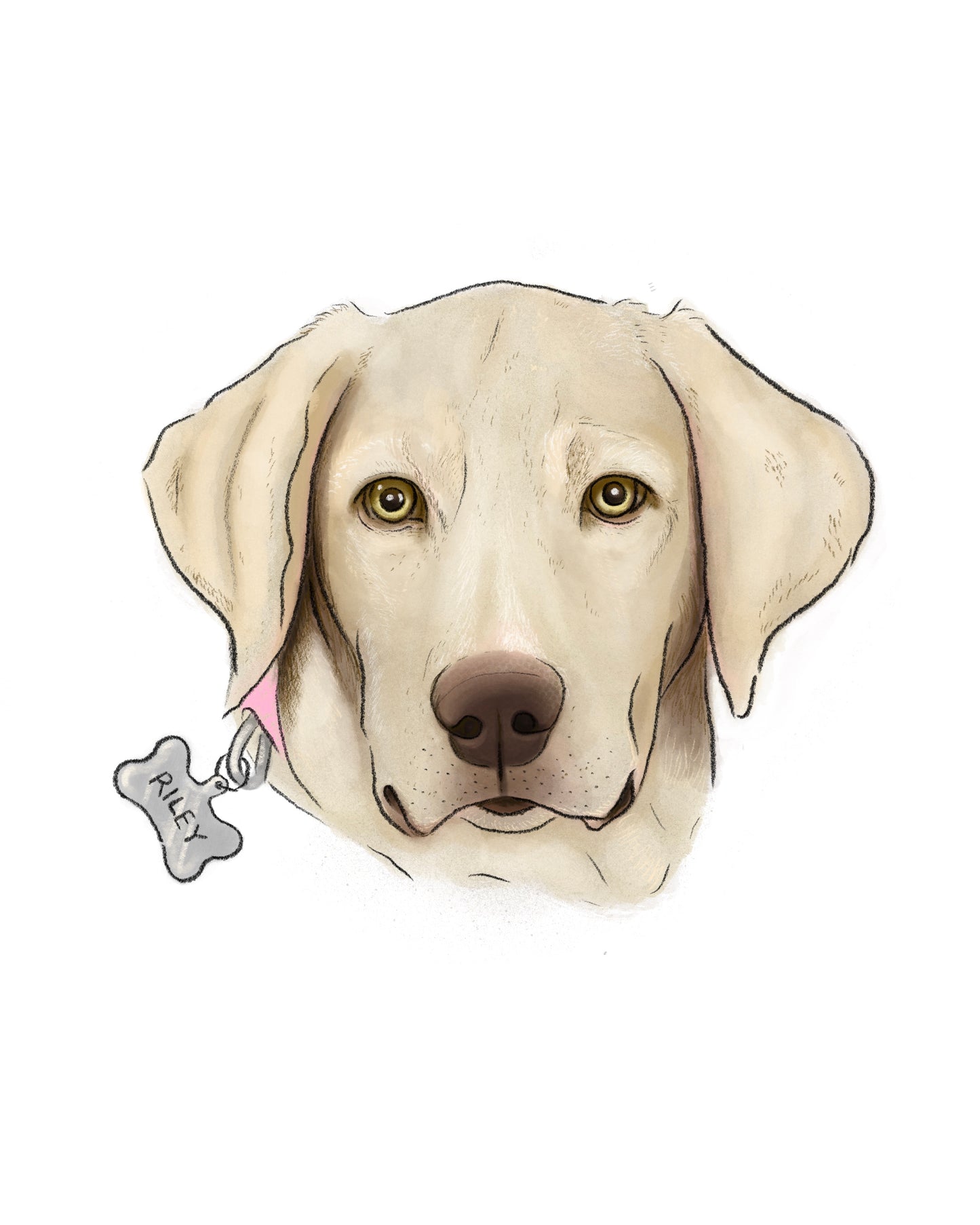 Custom Full-Color Pet Portrait