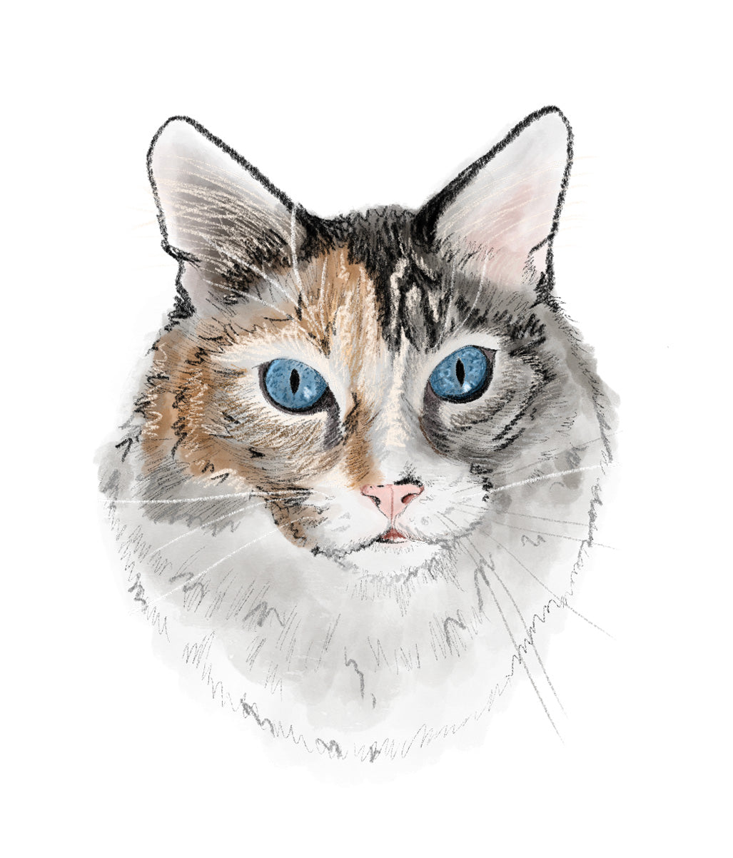 Custom Full-Color Pet Portrait